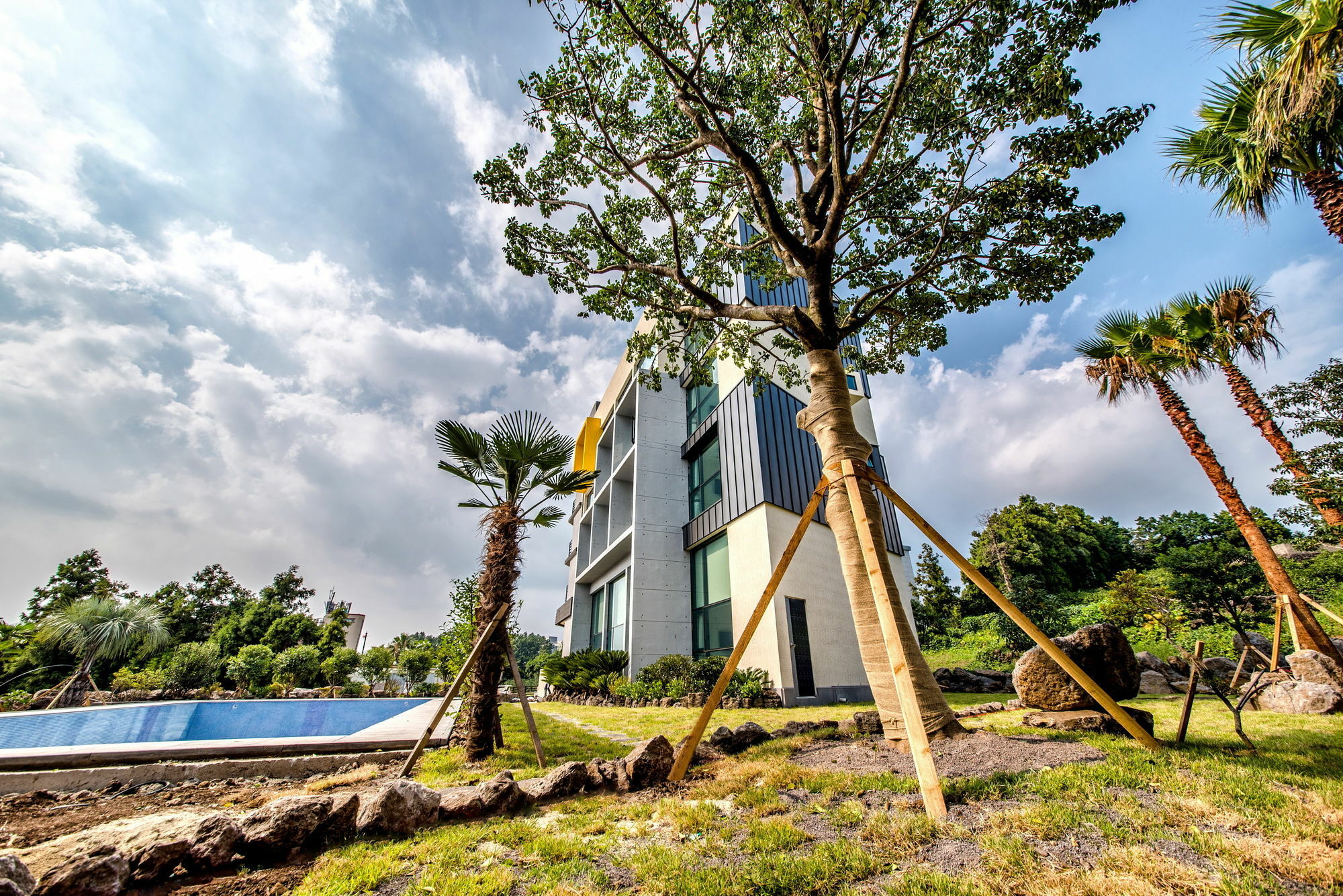 Sunrise Hotel Jungmun Branch Seogwipo Zewnętrze zdjęcie